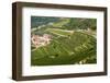 Vineyards of Valpolicella, Sant Ambrogio Di Valpolicella, Verona Province, Veneto, Italy, Europe-Nico Tondini-Framed Photographic Print