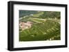 Vineyards of Valpolicella, Sant Ambrogio Di Valpolicella, Verona Province, Veneto, Italy, Europe-Nico Tondini-Framed Photographic Print