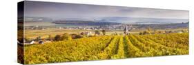 Vineyards of Ville Dommange, Champagne Ardenne, France-Matteo Colombo-Stretched Canvas