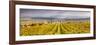 Vineyards of Ville Dommange, Champagne Ardenne, France-Matteo Colombo-Framed Photographic Print