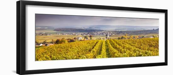 Vineyards of Ville Dommange, Champagne Ardenne, France-Matteo Colombo-Framed Photographic Print