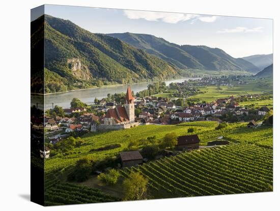 Vineyards of Weissenkirchen In The Wachau, Austria-Martin Zwick-Stretched Canvas