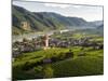 Vineyards of Weissenkirchen In The Wachau, Austria-Martin Zwick-Mounted Photographic Print