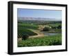 Vineyards, Oliverhill Wines, Mclaren Vale, South Australia, Australia, Pacific-Neale Clarke-Framed Photographic Print