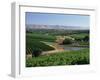 Vineyards, Oliverhill Wines, Mclaren Vale, South Australia, Australia, Pacific-Neale Clarke-Framed Photographic Print