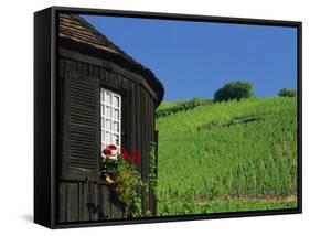 Vineyards on Hillside Behind Circular Timbered House, Riquewihr, Haut-Rhin, Alsace, France, Europe-Tomlinson Ruth-Framed Stretched Canvas