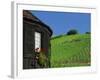 Vineyards on Hillside Behind Circular Timbered House, Riquewihr, Haut-Rhin, Alsace, France, Europe-Tomlinson Ruth-Framed Photographic Print