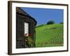 Vineyards on Hillside Behind Circular Timbered House, Riquewihr, Haut-Rhin, Alsace, France, Europe-Tomlinson Ruth-Framed Photographic Print