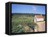 Vineyards on Route Des Grands Crus, Nuits St. Georges, Dijon, Burgundy, France-Geoff Renner-Framed Stretched Canvas