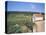 Vineyards on Route Des Grands Crus, Nuits St. Georges, Dijon, Burgundy, France-Geoff Renner-Stretched Canvas