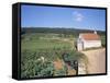 Vineyards on Route Des Grands Crus, Nuits St. Georges, Dijon, Burgundy, France-Geoff Renner-Framed Stretched Canvas