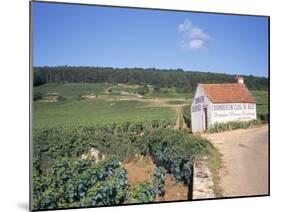 Vineyards on Route Des Grands Crus, Nuits St. Georges, Dijon, Burgundy, France-Geoff Renner-Mounted Photographic Print