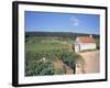 Vineyards on Route Des Grands Crus, Nuits St. Georges, Dijon, Burgundy, France-Geoff Renner-Framed Photographic Print