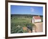 Vineyards on Route Des Grands Crus, Nuits St. Georges, Dijon, Burgundy, France-Geoff Renner-Framed Photographic Print