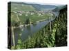 Vineyards on Slopes Above the Mosel River, Gravenburg, Germany, Europe-Oliviero Olivieri-Stretched Canvas