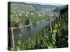 Vineyards on Slopes Above the Mosel River, Gravenburg, Germany, Europe-Oliviero Olivieri-Stretched Canvas