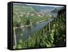 Vineyards on Slopes Above the Mosel River, Gravenburg, Germany, Europe-Oliviero Olivieri-Framed Stretched Canvas