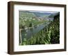 Vineyards on Slopes Above the Mosel River, Gravenburg, Germany, Europe-Oliviero Olivieri-Framed Photographic Print