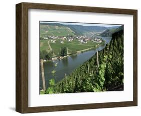 Vineyards on Slopes Above the Mosel River, Gravenburg, Germany, Europe-Oliviero Olivieri-Framed Photographic Print