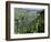 Vineyards on Slopes Above the Mosel River, Gravenburg, Germany, Europe-Oliviero Olivieri-Framed Photographic Print