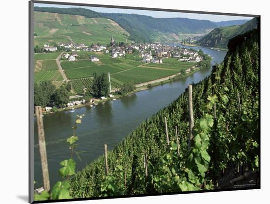 Vineyards on Slopes Above the Mosel River, Gravenburg, Germany, Europe-Oliviero Olivieri-Mounted Photographic Print