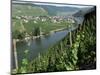 Vineyards on Slopes Above the Mosel River, Gravenburg, Germany, Europe-Oliviero Olivieri-Mounted Photographic Print