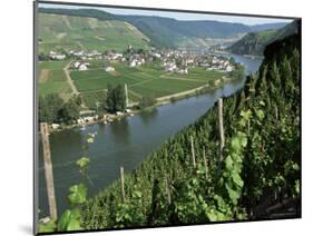 Vineyards on Slopes Above the Mosel River, Gravenburg, Germany, Europe-Oliviero Olivieri-Mounted Photographic Print