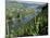 Vineyards on Slopes Above the Mosel River, Gravenburg, Germany, Europe-Oliviero Olivieri-Mounted Photographic Print