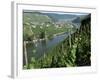 Vineyards on Slopes Above the Mosel River, Gravenburg, Germany, Europe-Oliviero Olivieri-Framed Photographic Print