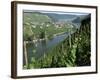 Vineyards on Slopes Above the Mosel River, Gravenburg, Germany, Europe-Oliviero Olivieri-Framed Photographic Print