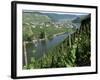 Vineyards on Slopes Above the Mosel River, Gravenburg, Germany, Europe-Oliviero Olivieri-Framed Photographic Print