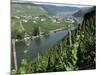 Vineyards on Slopes Above the Mosel River, Gravenburg, Germany, Europe-Oliviero Olivieri-Mounted Photographic Print