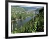 Vineyards on Slopes Above the Mosel River, Gravenburg, Germany, Europe-Oliviero Olivieri-Framed Photographic Print