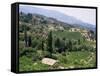 Vineyards on the Island of Samos, Greece-David Beatty-Framed Stretched Canvas
