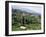 Vineyards on the Island of Samos, Greece-David Beatty-Framed Photographic Print