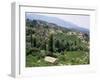 Vineyards on the Island of Samos, Greece-David Beatty-Framed Photographic Print