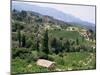 Vineyards on the Island of Samos, Greece-David Beatty-Mounted Photographic Print