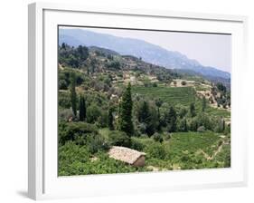 Vineyards on the Island of Samos, Greece-David Beatty-Framed Photographic Print