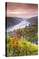 Vineyards over Bacharach, Rhineland-Palatinate, Germany-Matteo Colombo-Stretched Canvas