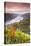 Vineyards over Bacharach, Rhineland-Palatinate, Germany-Matteo Colombo-Stretched Canvas