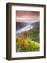 Vineyards over Bacharach, Rhineland-Palatinate, Germany-Matteo Colombo-Framed Photographic Print