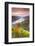 Vineyards over Bacharach, Rhineland-Palatinate, Germany-Matteo Colombo-Framed Photographic Print