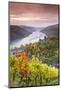 Vineyards over Bacharach, Rhineland-Palatinate, Germany-Matteo Colombo-Mounted Photographic Print