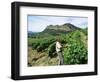 Vineyards, Patrimonio Area, Corsica, France-Yadid Levy-Framed Photographic Print