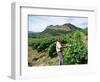 Vineyards, Patrimonio Area, Corsica, France-Yadid Levy-Framed Photographic Print