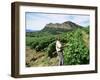 Vineyards, Patrimonio Area, Corsica, France-Yadid Levy-Framed Photographic Print