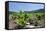 Vineyards, Peninsula Peljesac, Dalmatia, Croatia, Europe-Markus Lange-Framed Stretched Canvas