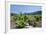 Vineyards, Peninsula Peljesac, Dalmatia, Croatia, Europe-Markus Lange-Framed Photographic Print