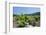 Vineyards, Peninsula Peljesac, Dalmatia, Croatia, Europe-Markus Lange-Framed Photographic Print