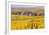 Vineyards, Riquewihr, Alsace, France-Matteo Colombo-Framed Photographic Print